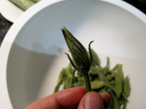 Scialatielli con scampi e zucchine in duplice fioritura