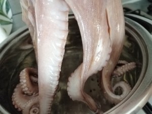 Burger di polpo con zucchine alla scapece burrata pugliese limone e menta