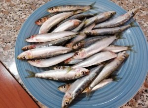 Pasta alle sarde con melanzane