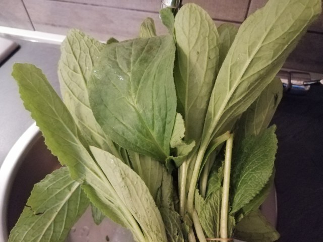 Orecchiette con borragine funghi cardoncelli guanciale e pecorino