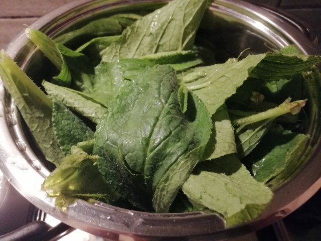 Orecchiette con borragine funghi cardoncelli guanciale e pecorino