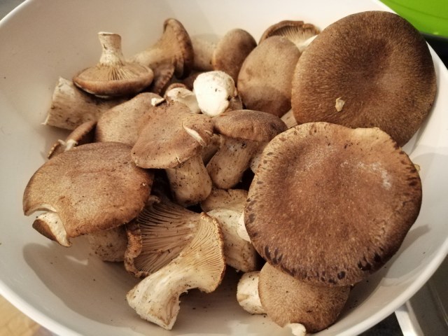 Orecchiette con borragine funghi cardoncelli guanciale e pecorino