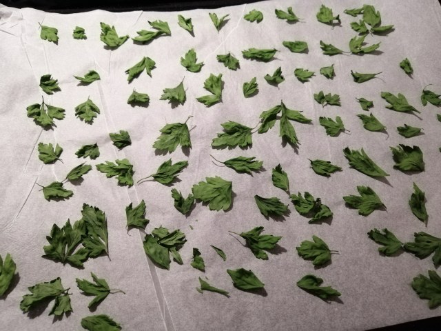 Risotto con zucca noci gorgonzola e polvere di prosciutto crudo