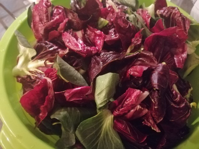 Filetto di tonno in crosta di nocciole su vellutata di patate viola e con cicorino rosso