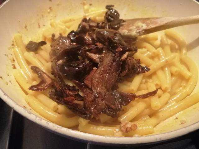 Mezzanelli tagliati con funghi porcini zafferano castelmagno dop e noci di Sorrento