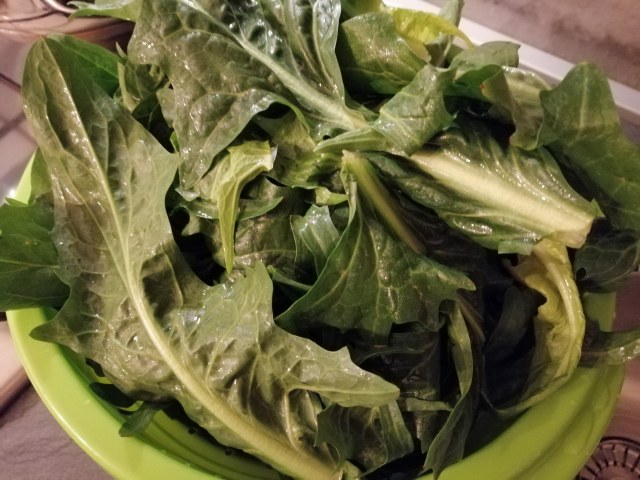 Zuppa di cicerchie cicoria con cicoli e crostini di pane di grano saraceno