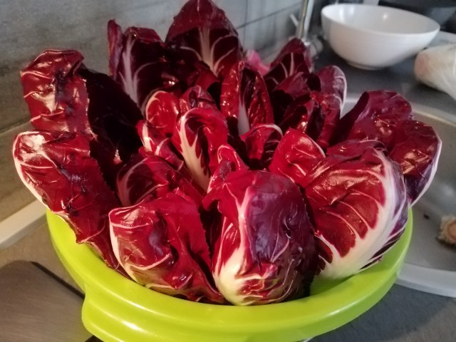 Cannelloni ripieni di ricotta radicchio speck e scamorza con besciamella allo zafferano