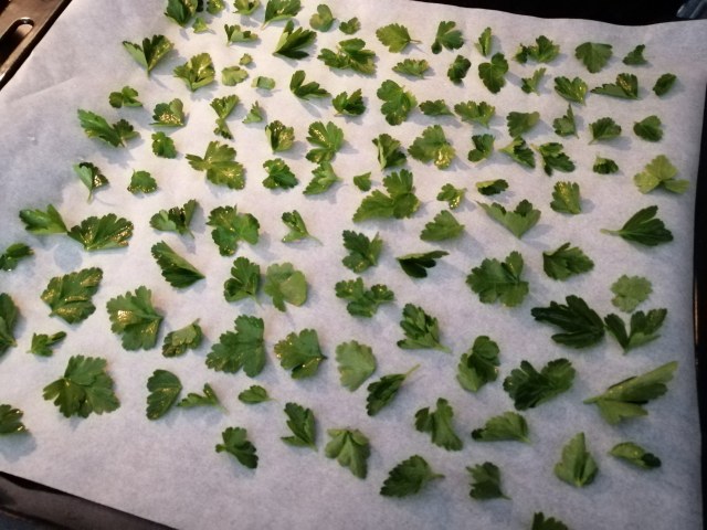 Fettuccine con calamarelle stracciatella di bufala e datterini