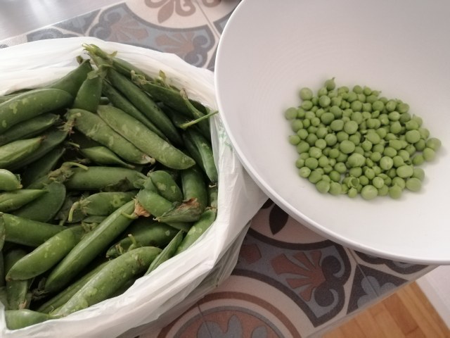 Flan di piselli freschi con fonduta di gorgonzola e chips di carote