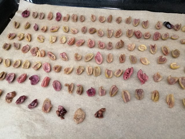 Risotto agli asparagi con vongole e terra di olive taggiasche