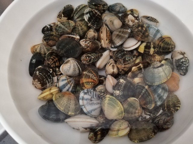 Risotto agli asparagi con vongole e terra di olive taggiasche