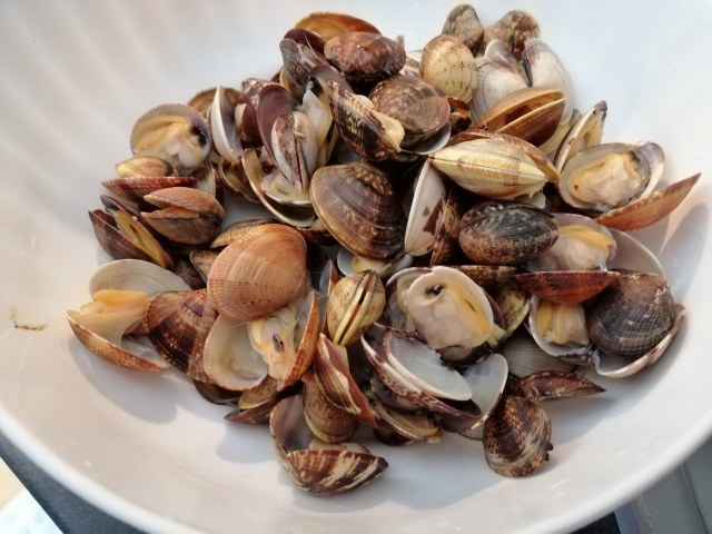 Risotto agli asparagi con vongole e terra di olive taggiasche