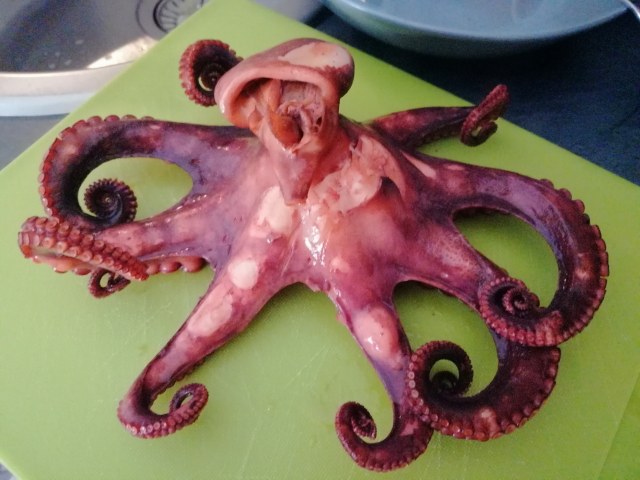 Polpo glassato allo zenzero su riduzione del suo brodo