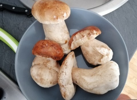 Lasagna riccia ai porcini con besciamella alla zucca cotto e provola