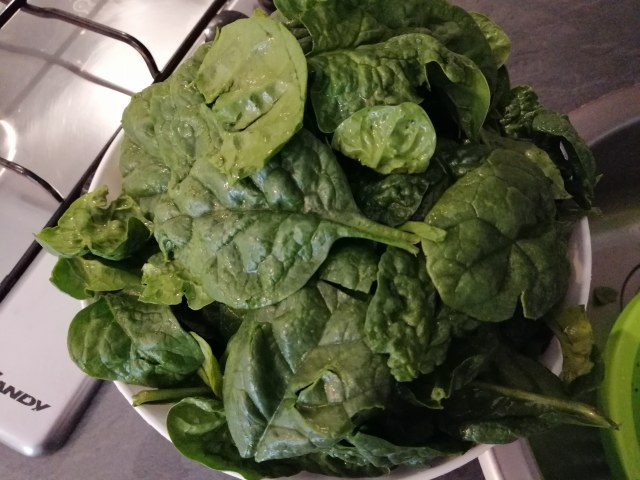 veggie burger di lenticchie e spinaci con le sue chips e pate di olive taggiasche