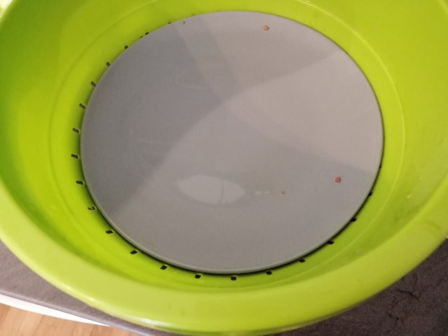 veggie burger di lenticchie e spinaci con le sue chips e pate di olive taggiasche