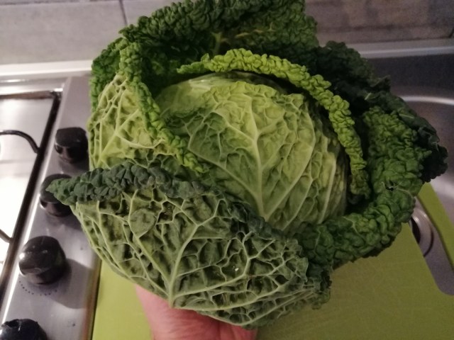 Pizzoccheri con verza casera luganega e noci