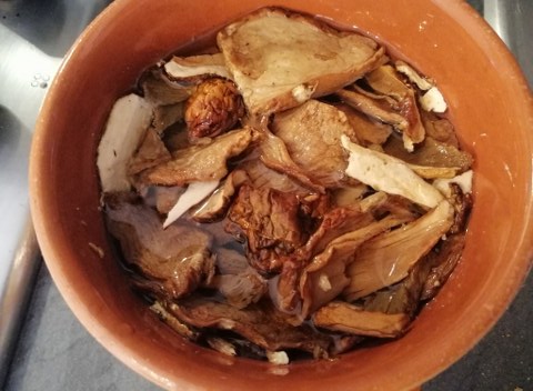 Risotto con porcini patate e rana pescatrice