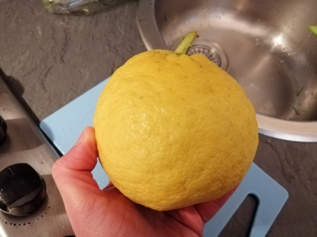 Felafel al rosmarino con tzatziki al cedro