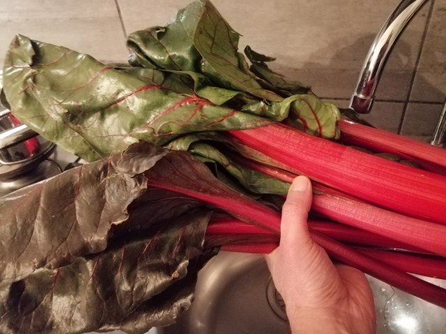 Scaloppine di tonno al bergamotto e bietole a costa rossa ripassate in padella