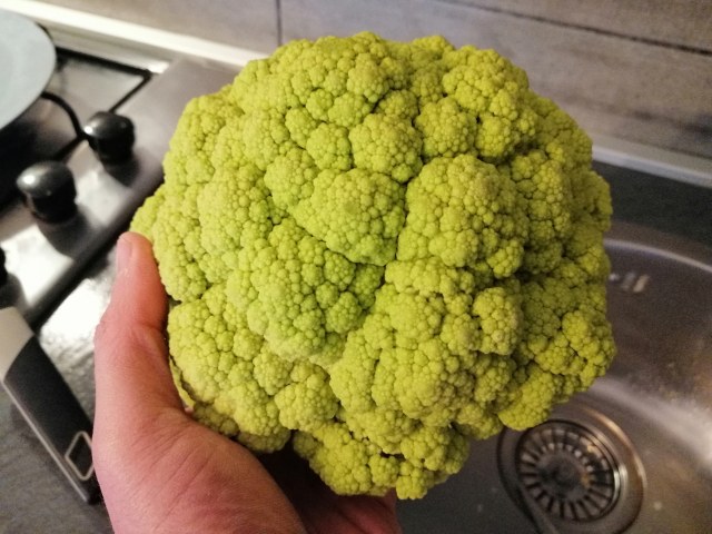 Polpo ammuddicato al pistacchio su crema di cavolfiore verde e gorgonzola