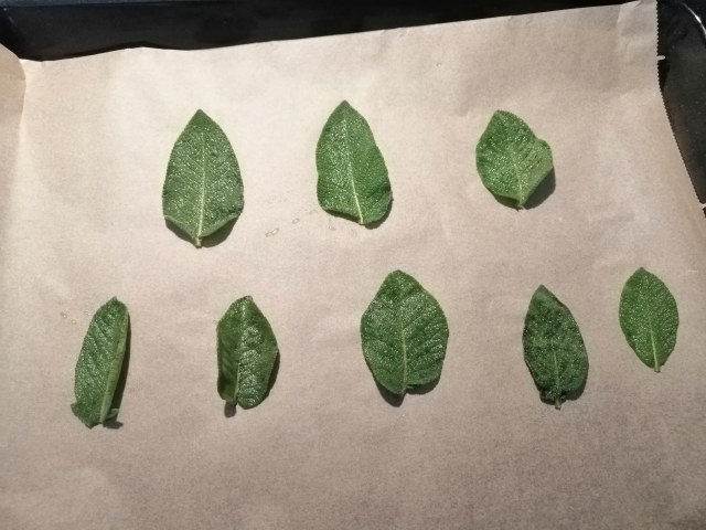 Salmone alla piastra marinato all'india pale ale su pure di patate e piselli