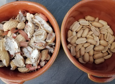 Spaghettoni con zucchine la loro crema i loro fiori fonduta di taleggio e crumble di arachidi