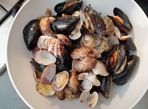 Linguine con pesto di mandorle e frutti di mare