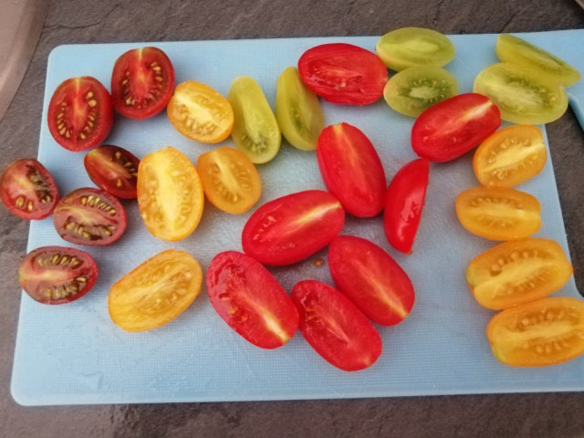 Insalata greca di pesce spada