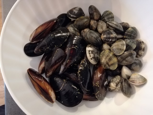 Scialatielli allo scoglio