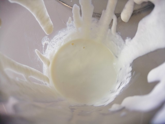 Fettuccine con pesto pesce spada datterini e crema di burrata