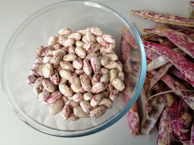 Fagioli alla messicana con borlotti freschi