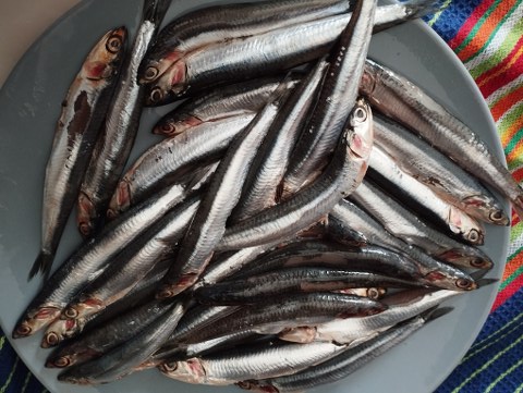 Casarecce con crema di peperoncini verdi alici e crostini di pane alle olive