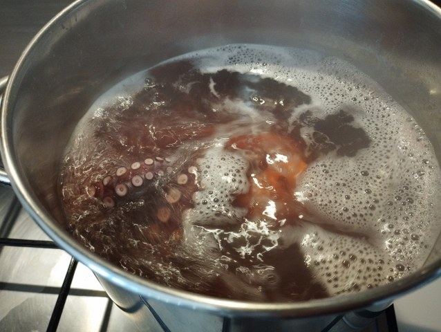 Polpo glassato al miele e profumato al timo con stracciatella pugliese su crema di zucca