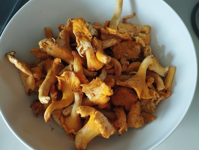 Fettuccine con finferli salmone e nocciole