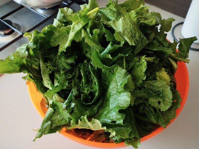 Fusilli con pesto di cime di rapa nocciole e provolone di bufala