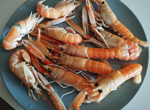 Linguine con crema di zucca e scampi