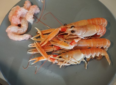 Linguine con crema di zucca e scampi